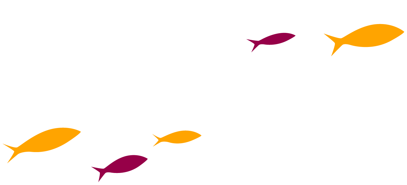 Fondo Magenta Ahorro