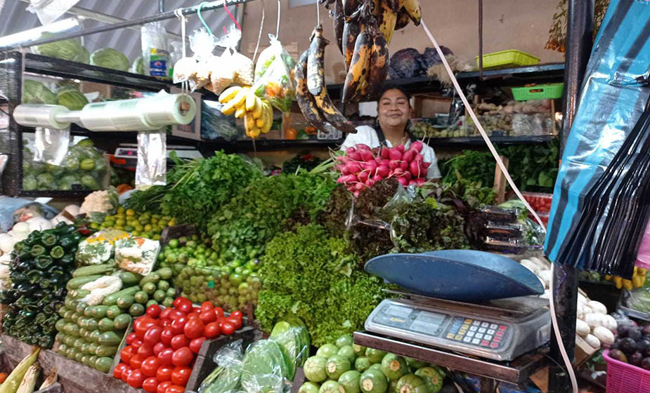 Descubre cómo con un préstamo personal Guadalupe Sanluis y más emprendedores han conseguido al negocio sus sueños